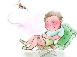 登革热相关图片