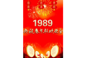 1989年中央电视台春节联欢晚会