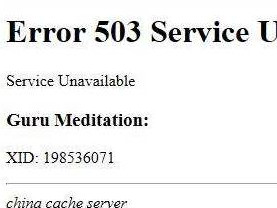 503错误