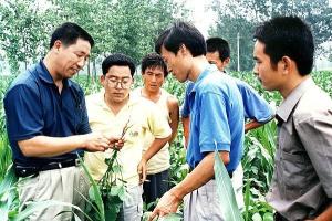 合并图册
