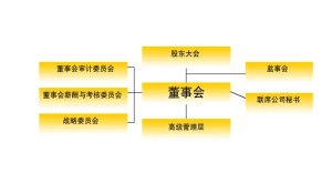 非执行董事