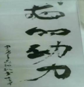 李宁题写的“龙的动力”