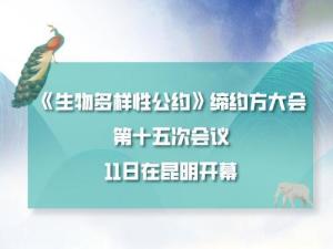 《生物多样性公约》第十五次缔约方大会