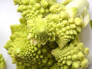 罗马花椰菜
