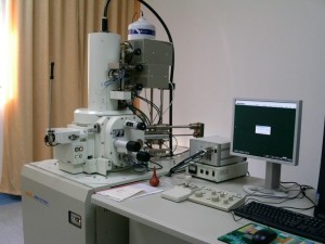 扫描电子显微镜 扫描电子显微镜