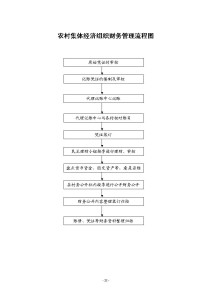 农村集体经济组织财务管理流程