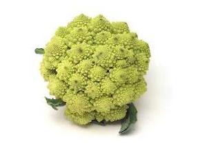 罗马花椰菜