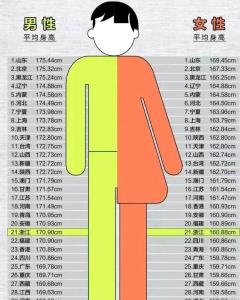 中国各省男女平均身高表