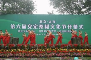大兴安定桑葚文化节