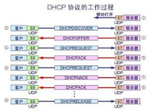 动态主机配置协议