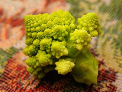 罗马花椰菜