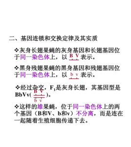 什么叫做基因的连锁 300