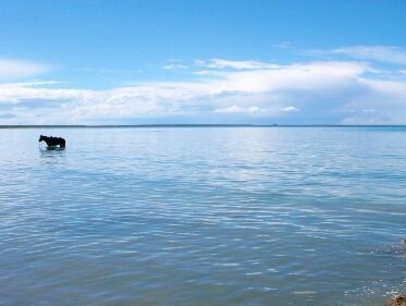 青海湖