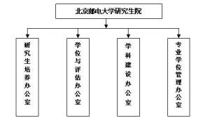 组织结构