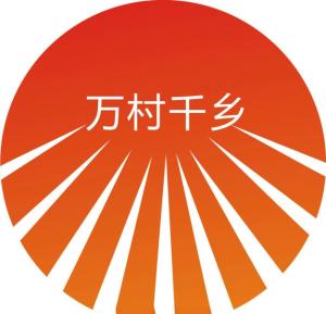 "万村千乡"市场工程是指2005年开始实施的农村现代流通网络建设工程.