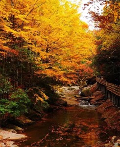光雾山风景区