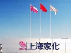 上海家化联合股份有限公司