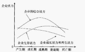 图3 企业活力源泉的生命周期因素分析