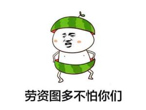 逗比