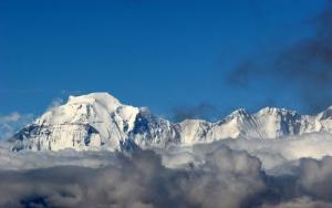 图片摄影作者 只向雪山行