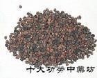 牵牛子