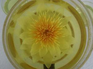 莲花茶 搜狗百科