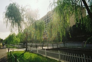 学院风景