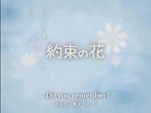 约束の花