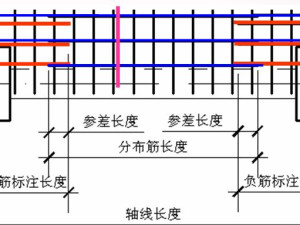 分布筋
