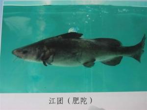 合并图册