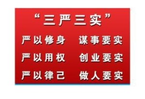 三严三实