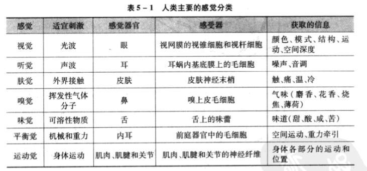 人类主要的感觉