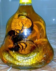 药酒