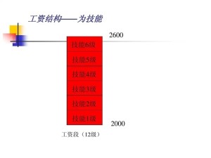 工资结构