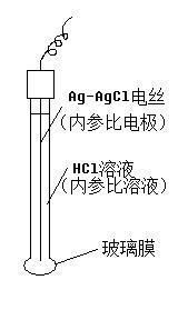 离子选择性电极