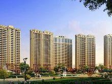 湖景国际效果图