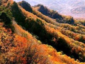 鸡冠山