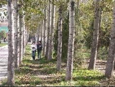 滨州职业学院