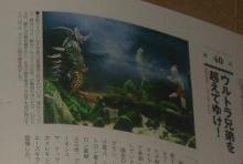 暴君怪兽泰兰特