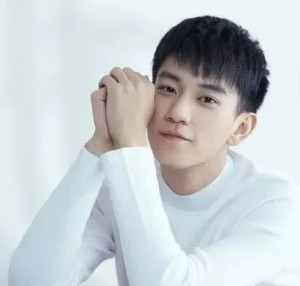 王子奇