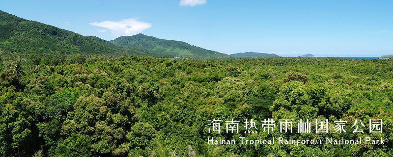 海南热带雨林国家公园