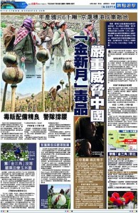 金新月