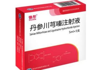 丹参川芎嗪注射液