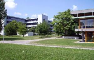 罗伊特林根大学