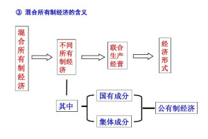 混合经济