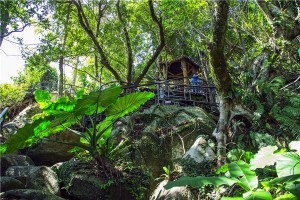 呀诺达雨林文化旅游区