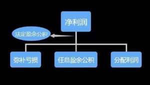 盈余公积