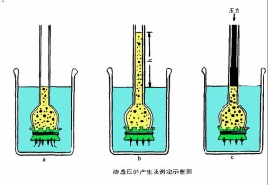 渗透压