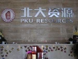北大资源（控股）有限公司