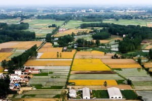 田园美景